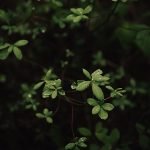 ben karpinski ur pnorurpk unsplash